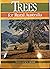 Trees for Rural Australia by Kurt W Cremer