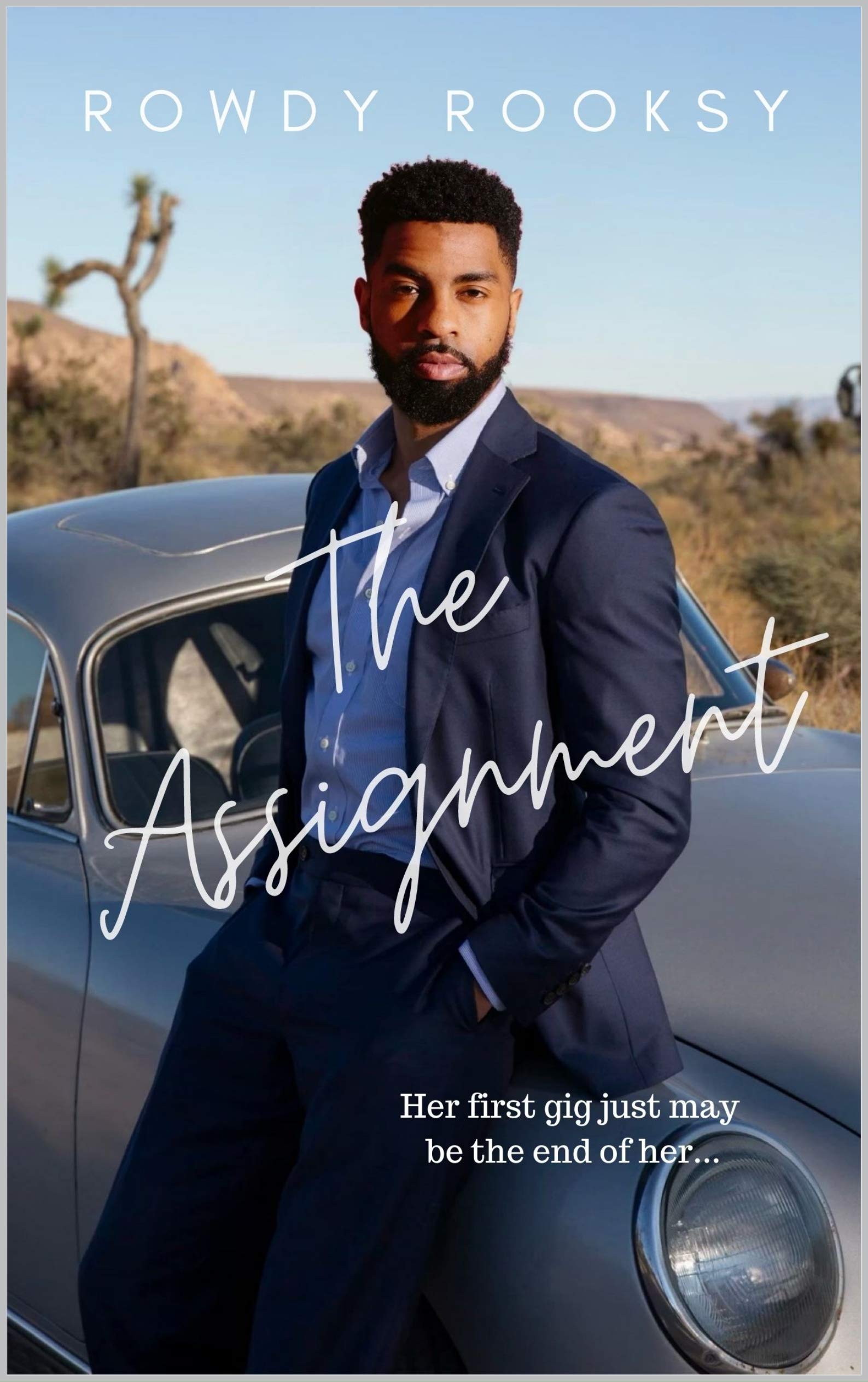 The Assignment (Kindle Edition)