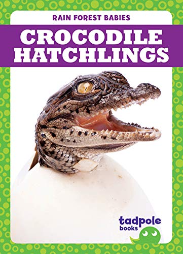 Crocodile Hatchlings (Tadpole Books: Rain Forest Babies)