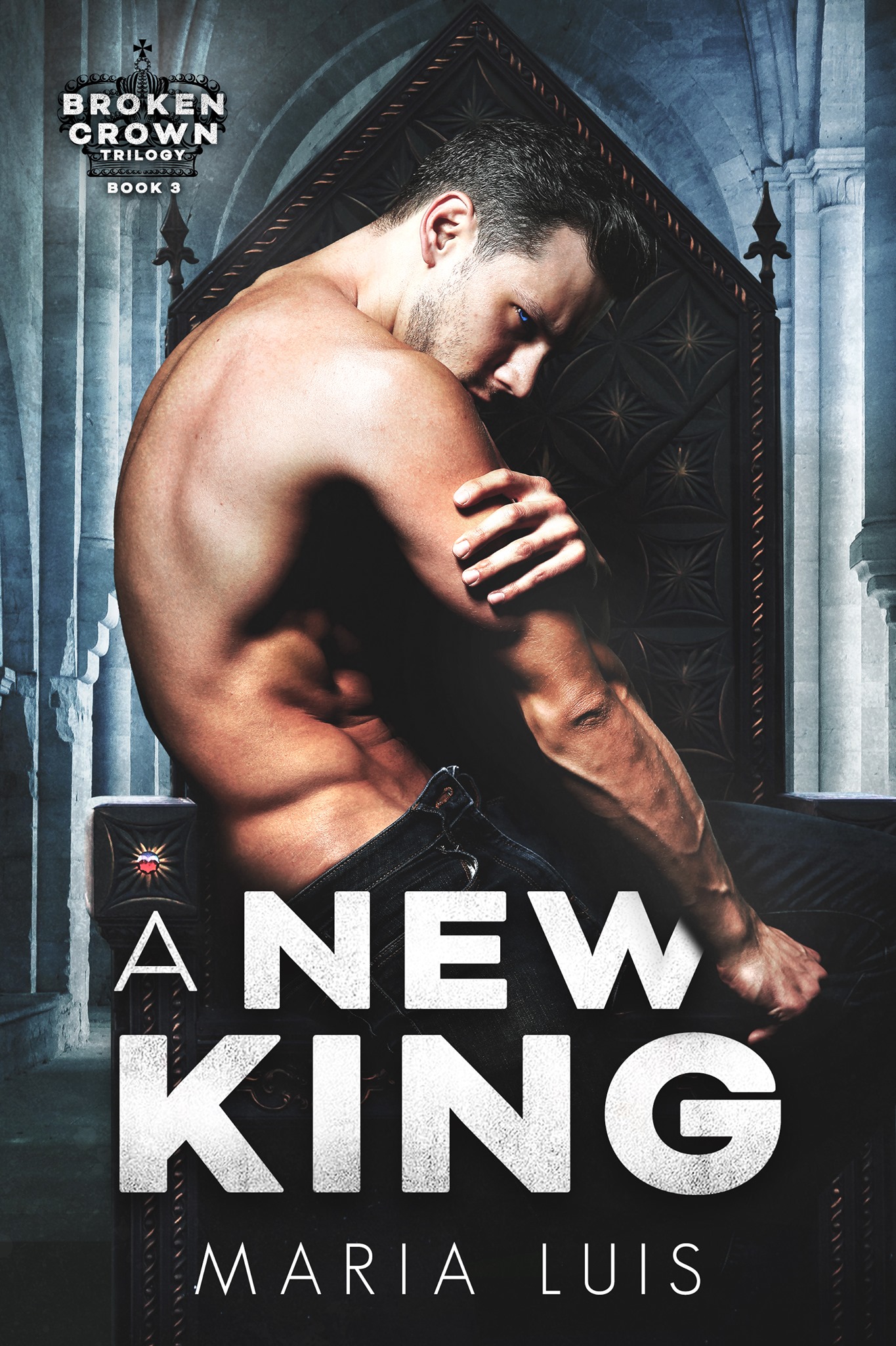 A New King (Broken Crown, #3)