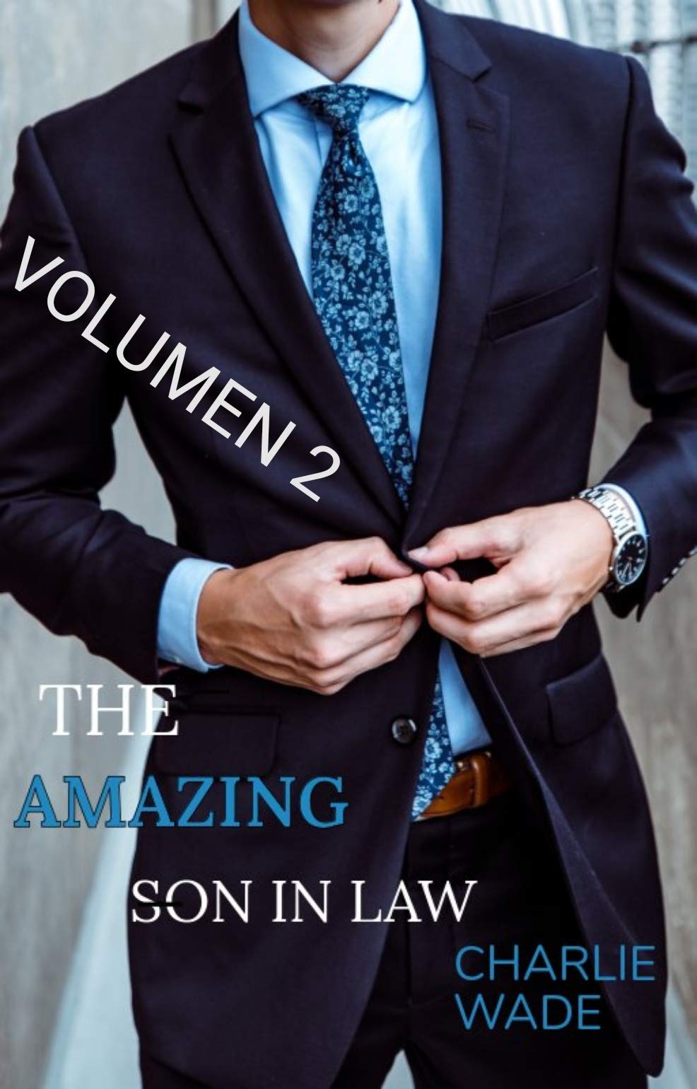The Amazing Son In Law (Volume 2)