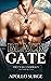 Black Gate (The Cyan Conspiracy #2)