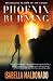 Phoenix Burning (Veranda Cruz #2)