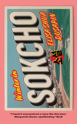 Winter in Sokcho By Elisa Shua Dusapin