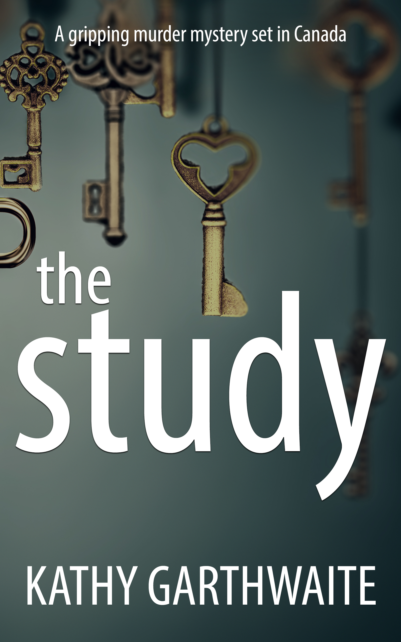 The Study (Detective Marlowe Flint, #2)