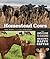 Homestead Cows by Callene Rapp