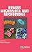 Human Microbiota and Microb...