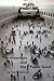 Architecture and the Public...