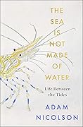 The Sea Is Not Made of Water: Life Between the Tides