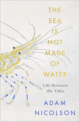 The Sea Is Not Made of Water: Life Between the Tides
