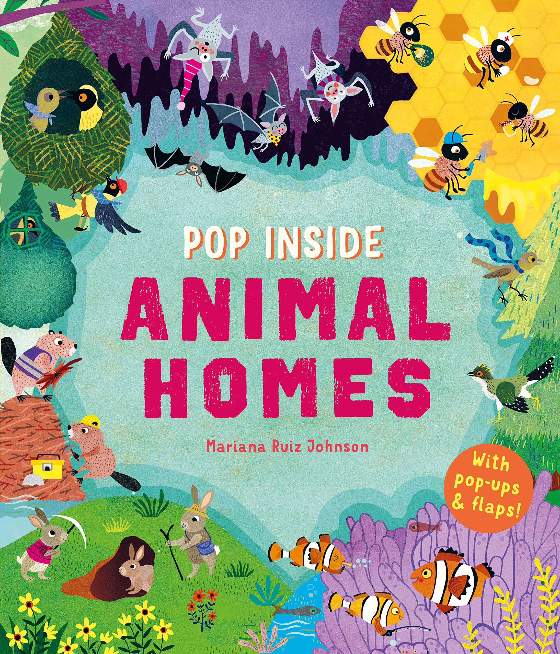 Pop Inside: Animal Homes (Hardcover)
