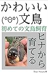 About Cute Java sparrow (Japanese Edition)