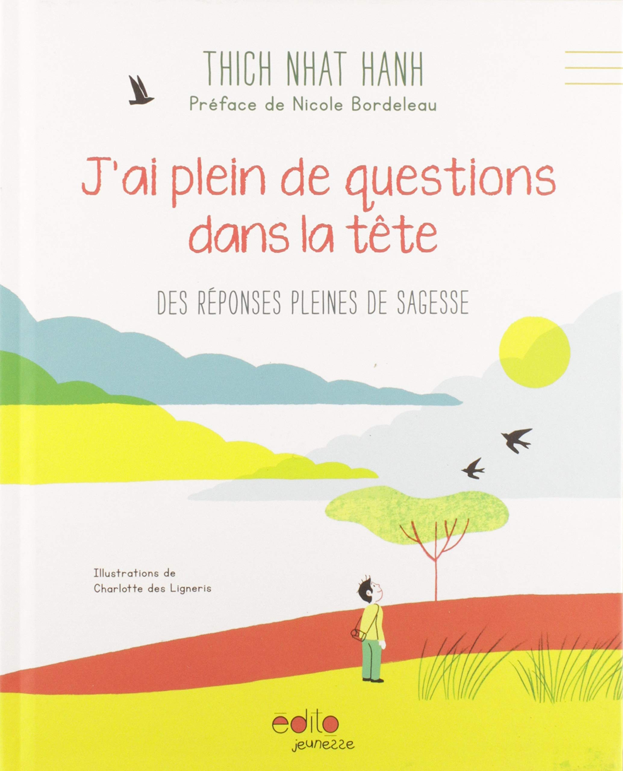 J'ai plein de questions dans la tête - des réponses pleines de sagesse (Hardcover)