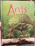Ants