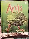 Ants (Usborne Beginners)