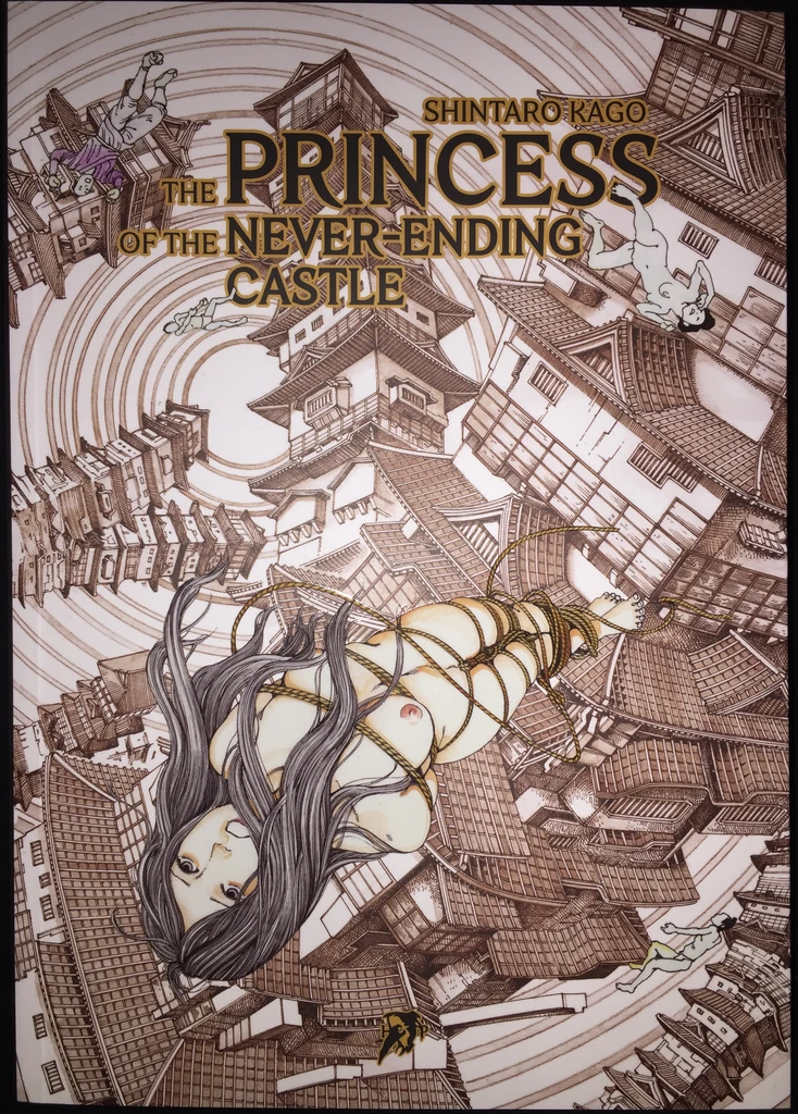 The Princess of the Never-Ending Castle