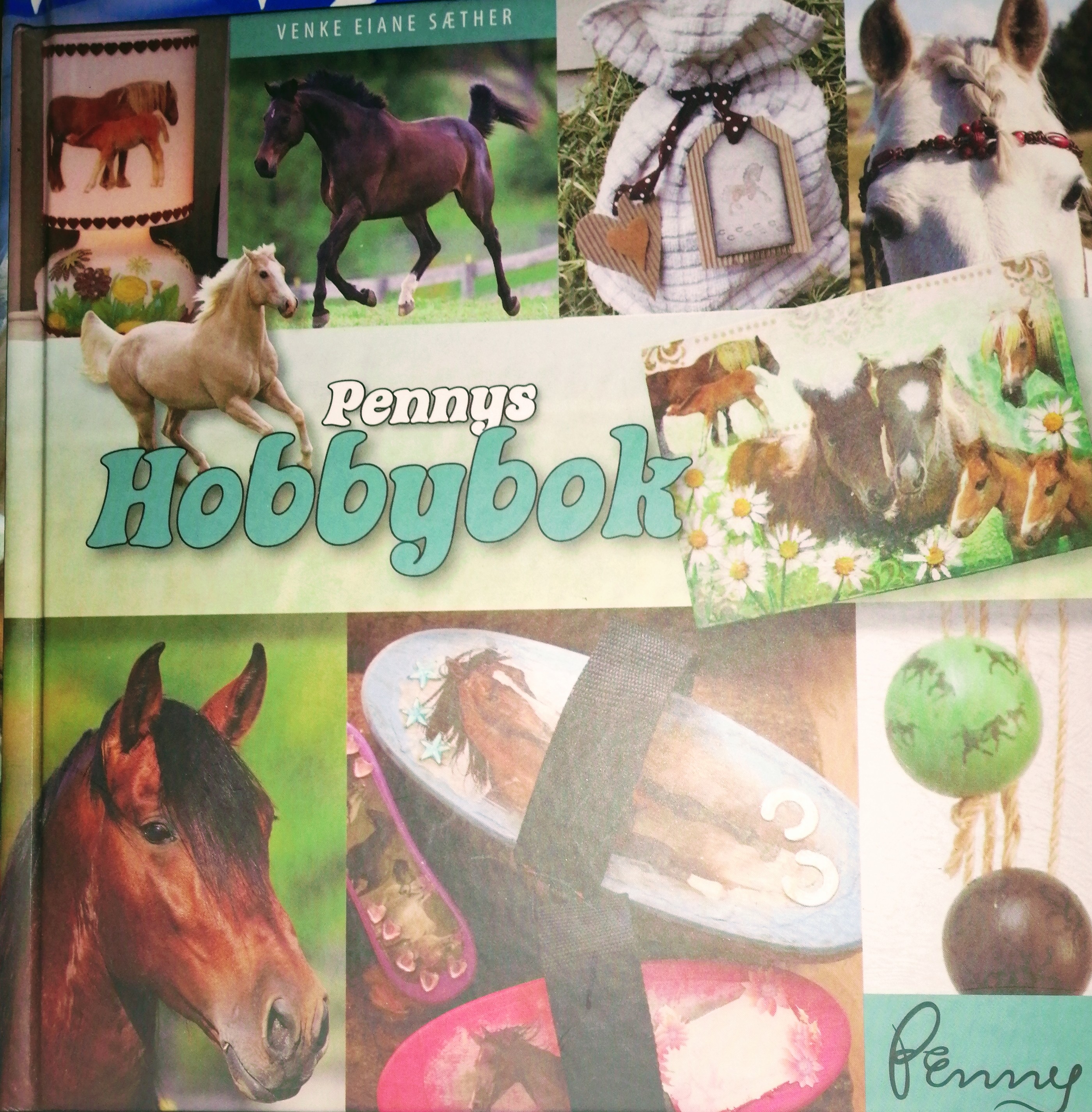 Pennys Hobbybok (Hardcover)