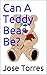 Can A Teddy Bear Be?