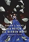 Silbernes Feuer by Sarah J. Maas