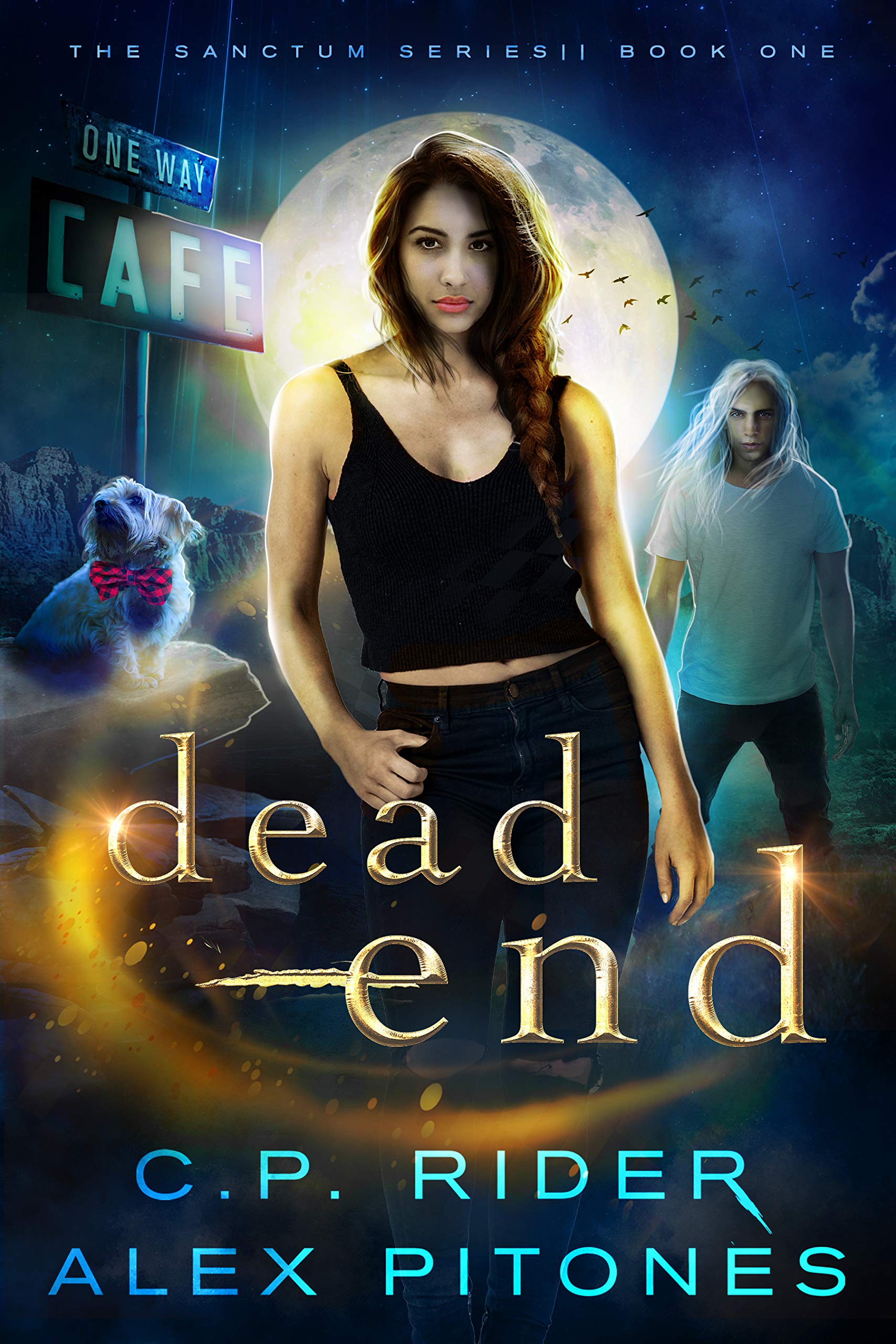 Dead End (The Sanctum #1)