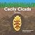 Cecily Cicada: 2021 Edition