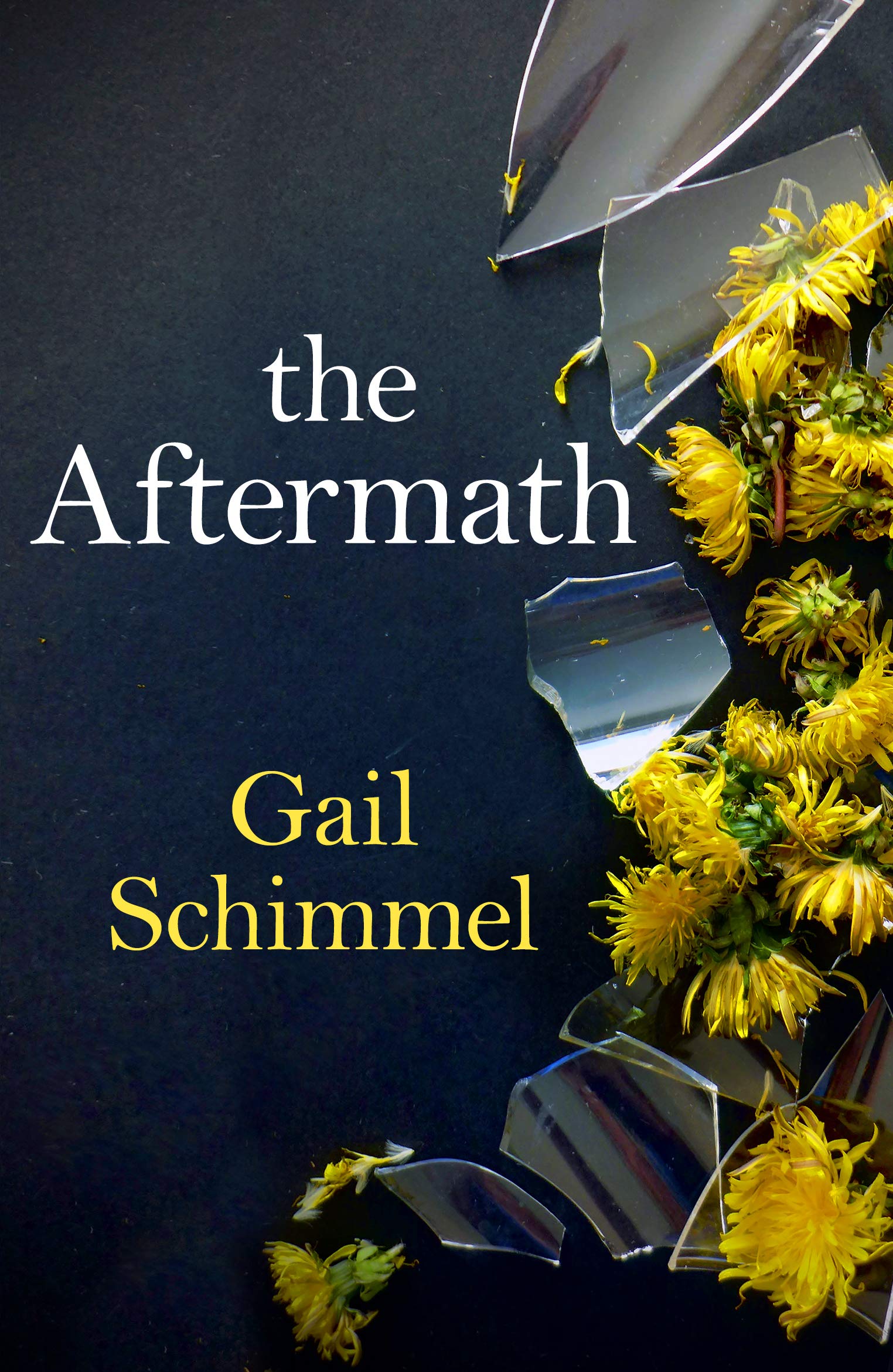 The Aftermath (Kindle Edition)