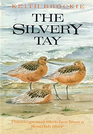 The Silvery Tay: Paintings and sketches from a Scottish river (Hardcover)