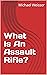 What Is An Assault Rifle?