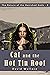 Cat and the Hot Tin Roof by David Wallace