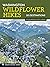 Washington Wildflower Hikes...