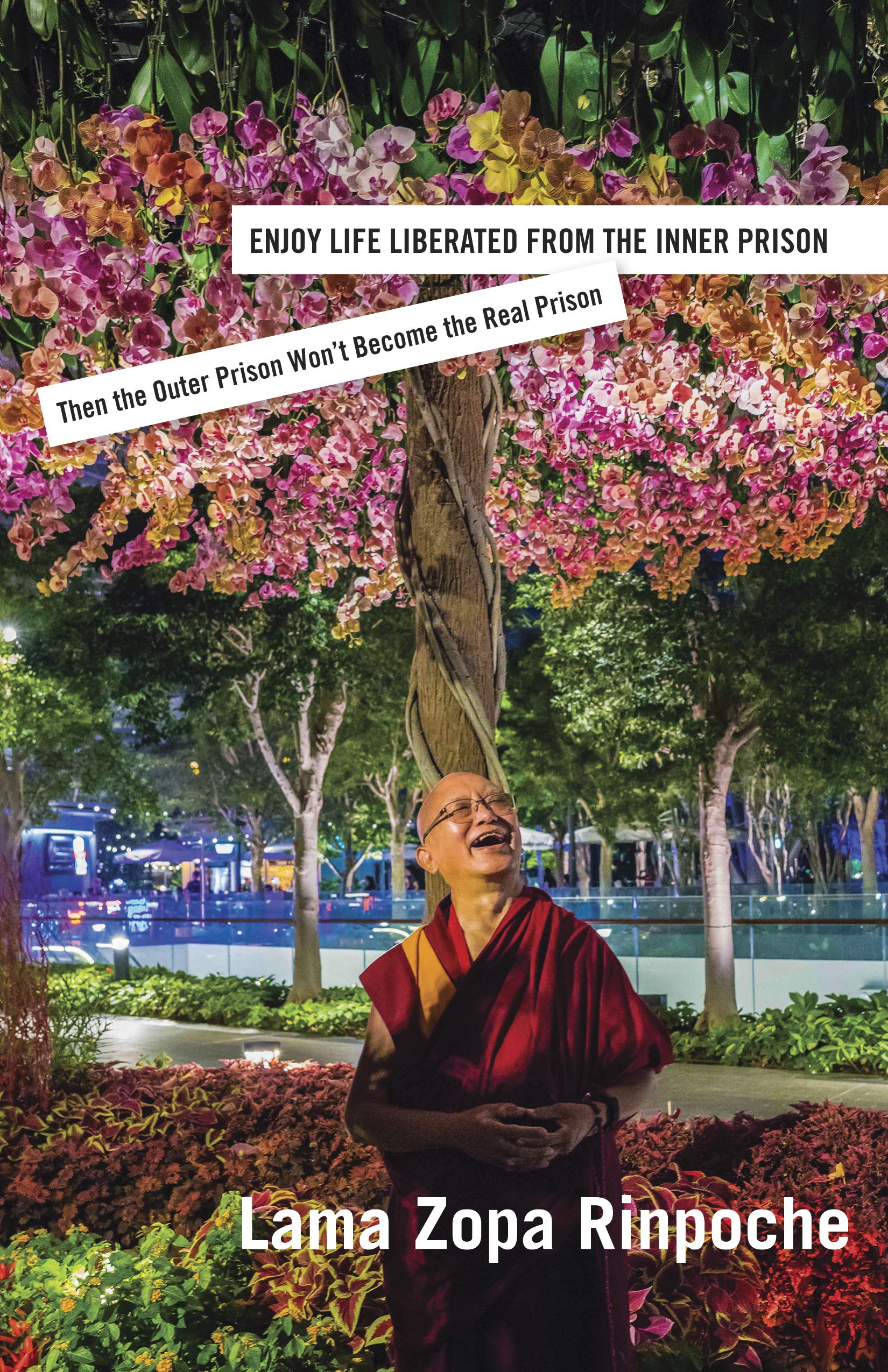 Enjoy Life Liberated From the Inner Prison: Then the Outer Prison Won’t Become the Real Prison (Kindle Edition)