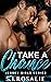 Take a Chance by S.J. Rosalie