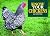 Know Your Chickens