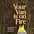 Your Van Is On Fire: The Miscellaneous Meanderings of a Musician