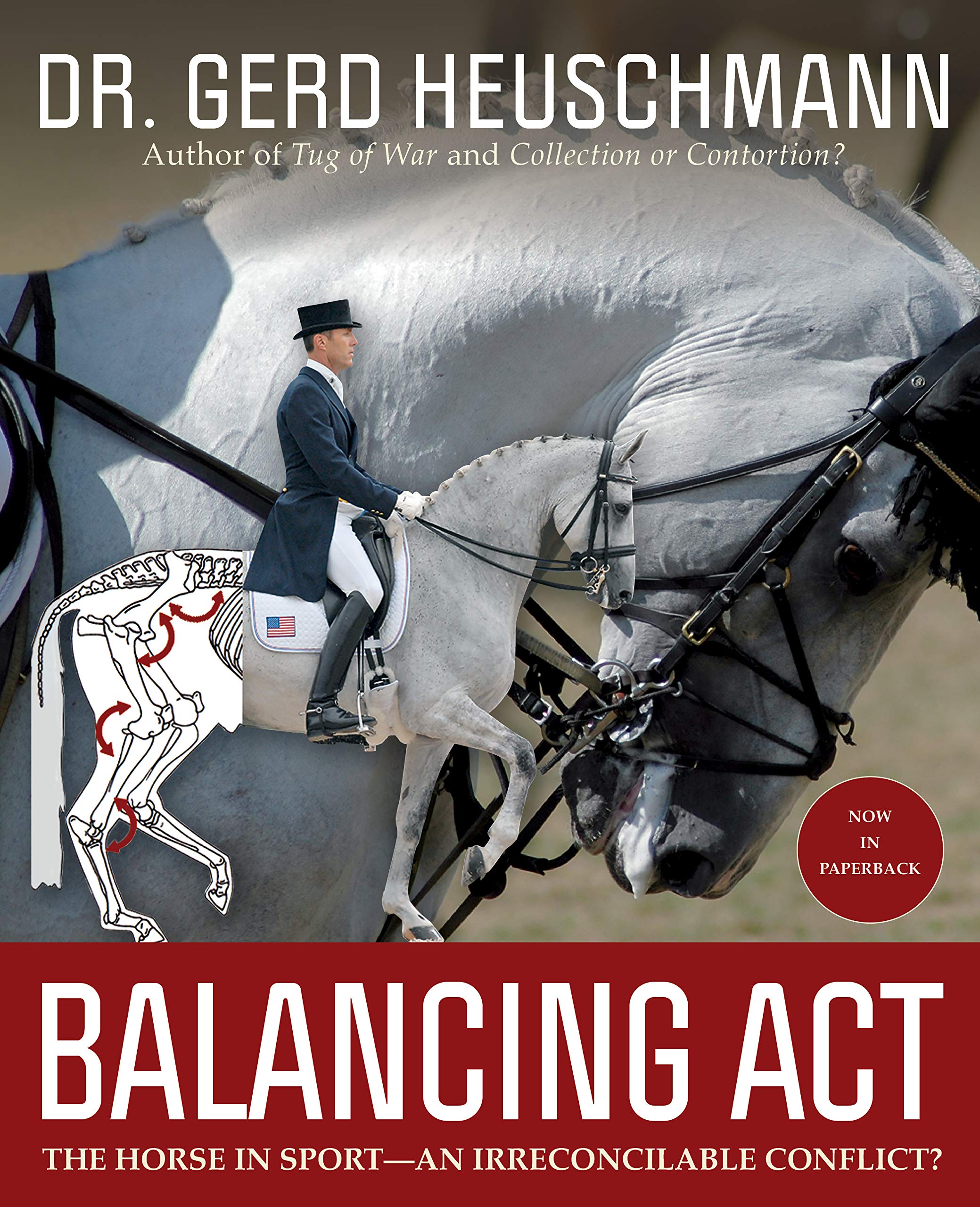 Balancing Act: The Horse in Sportâ€”An Irreconcilable Conflict? (Paperback)