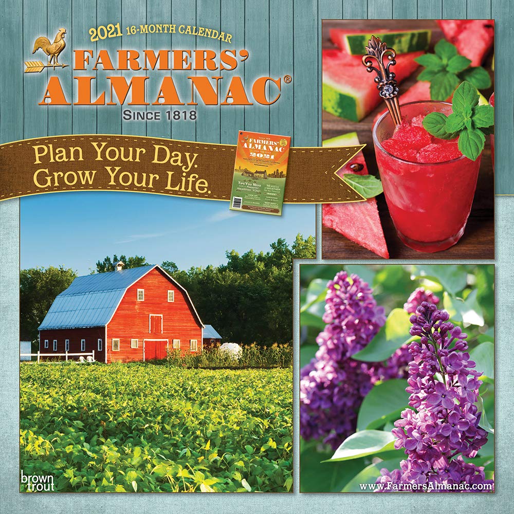 альманах 2021