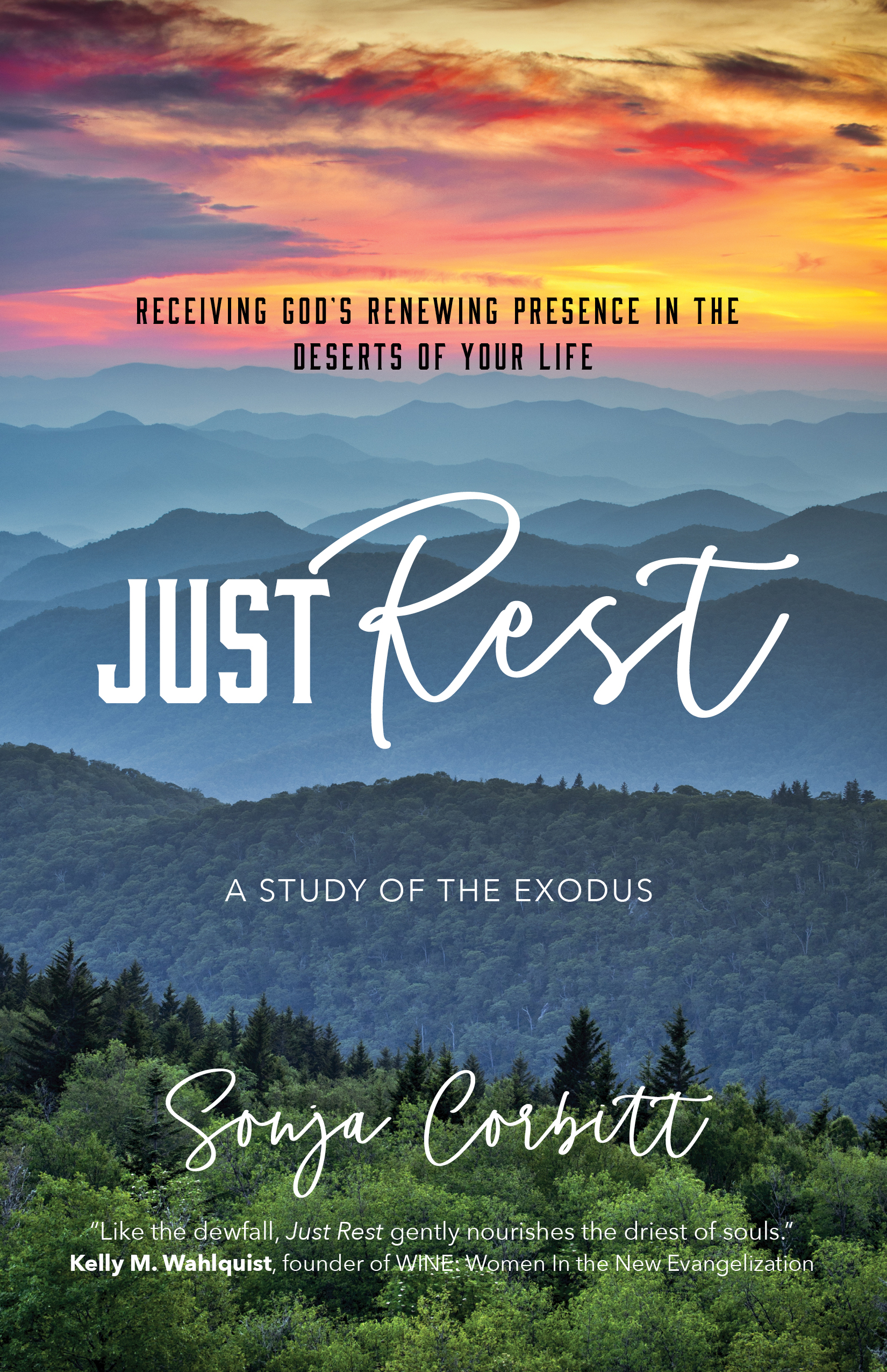 Just Rest: Receiving God?s Renewing Presence in the Deserts of Your Life