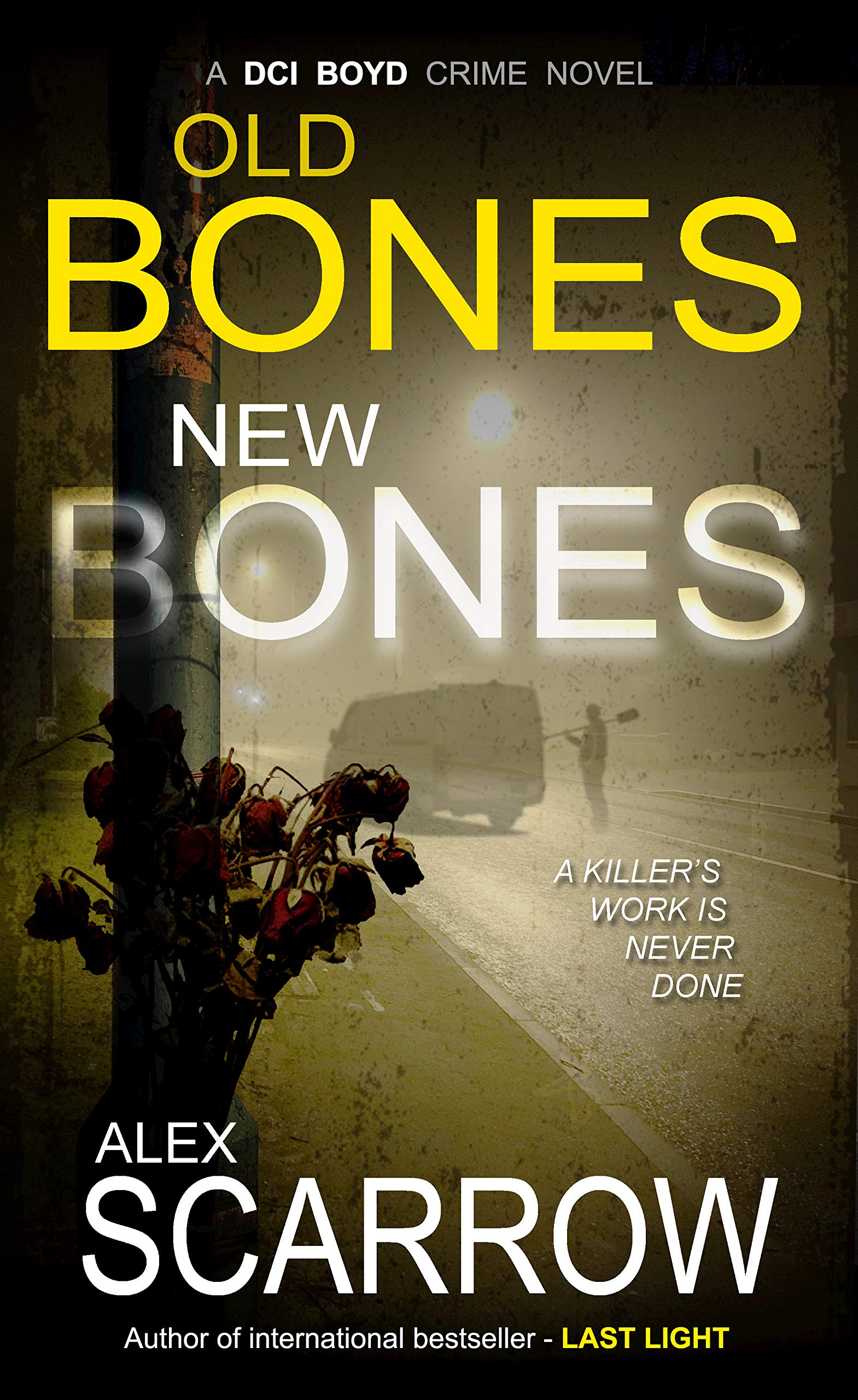 Old Bones New Bones (DCI Boyd, #2)