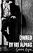 Owned by His Alphas (The Alpha and Omega Shifter Menage #4)
