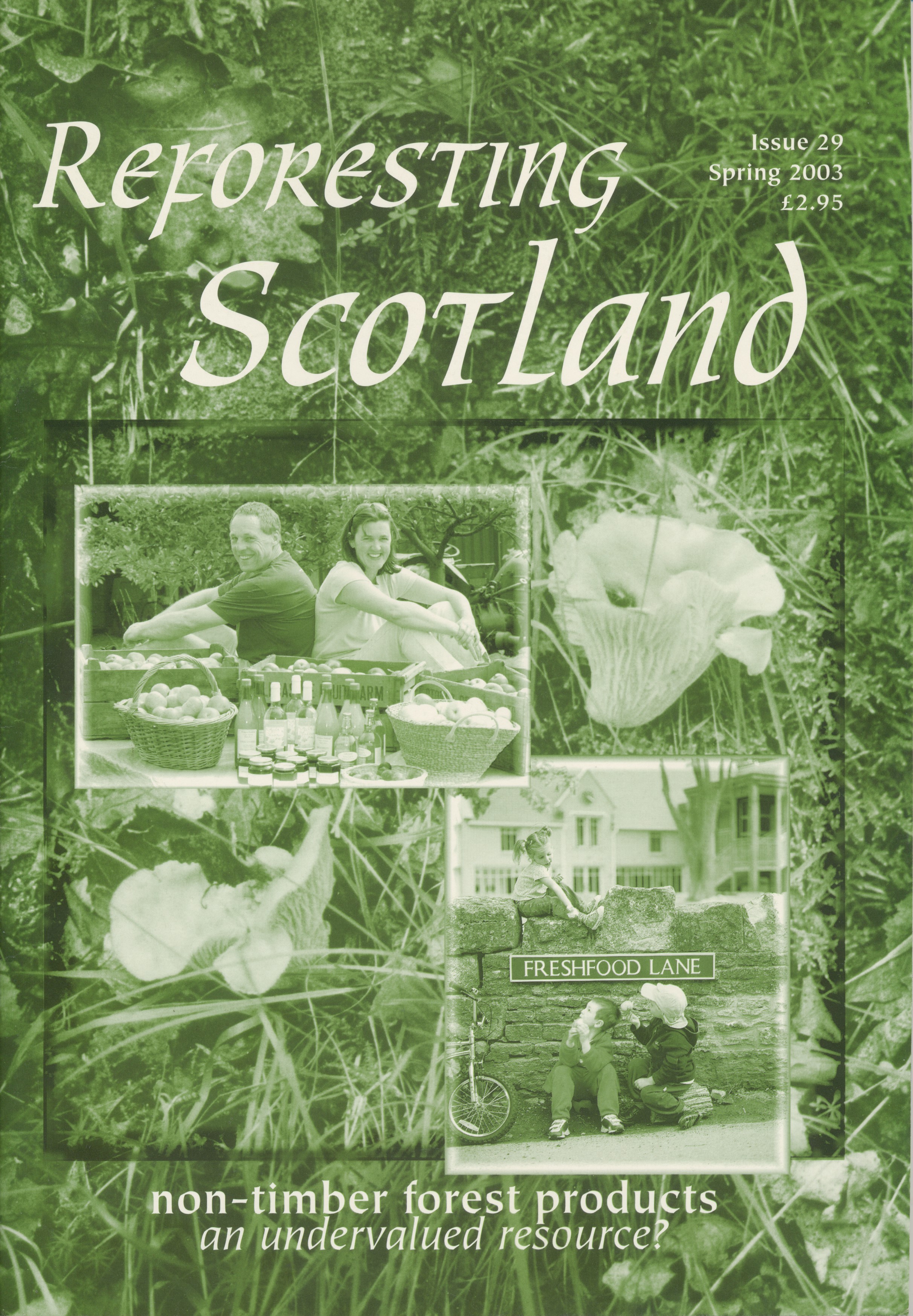 Reforesting Scotland 29, Spring 2003