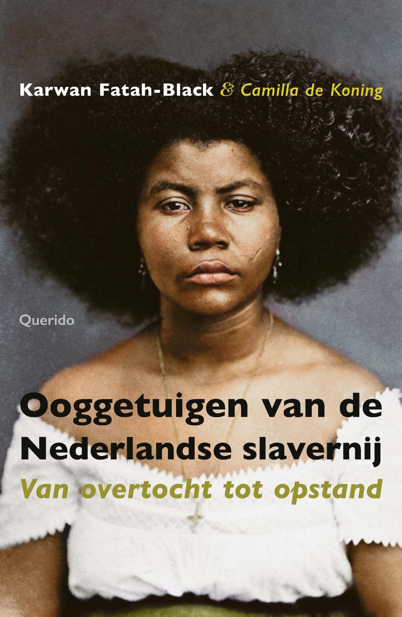 Ooggetuigen van de Nederlandse slavernij. Van overtocht tot opstand (Paperback)