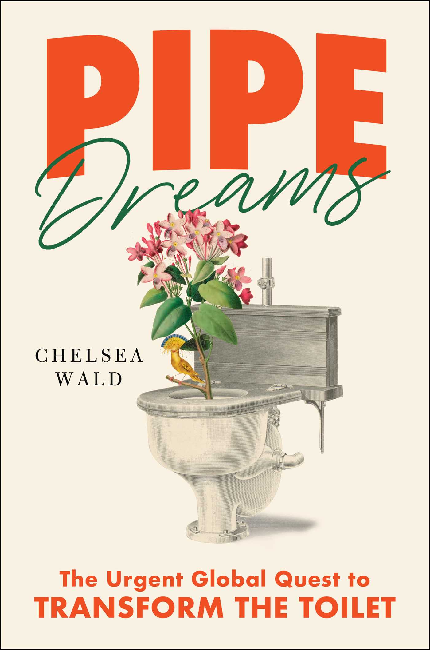 Pipe Dreams: The Urgent Global Quest to Transform the Toilet (Hardcover)
