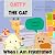 Catty The Cat When I am frustrated: children's book about anger management, toddler book of feelings and emotions, behavior management in kids, autism social story, self-regulation skills
