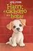 Harry, el cachorro sin hogar (Holly Webb) (Spanish Edition)