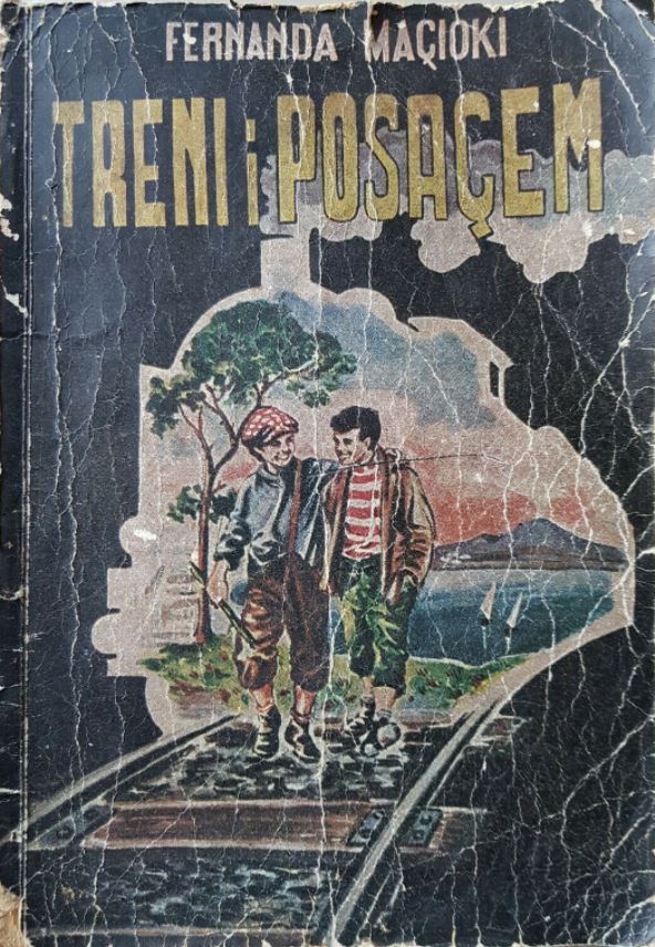 Treni i posaçëm