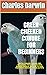 GREEN CHEEKED CONURE FOR BE...