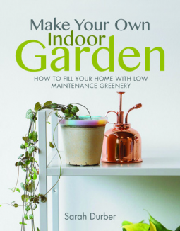 Make Your Own Indoor Garden: How to Fill Your Home with Low Maintenance Greenery