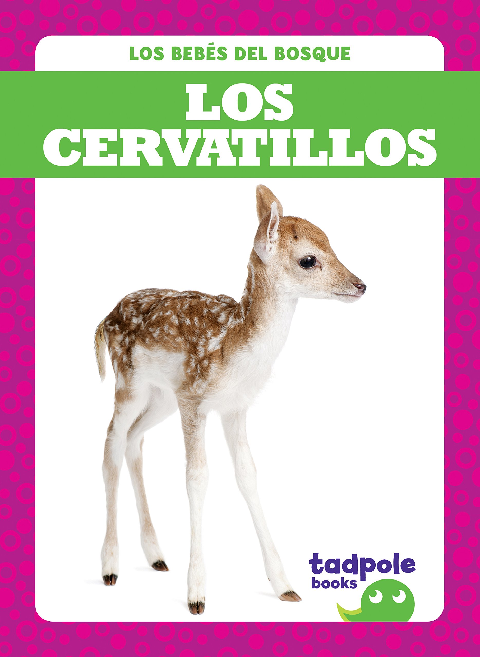 Los cervatillos (Deer Fawns) (Tadpole Books: Spanish Edition) (Los bebés del bosque Forest Babies) (Los Bebes del Bosque (Forest Babies))