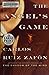 The Angel's Game by Carlos Ruiz Zafón