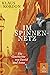 Im Spinnennetz: Die Geschichte von David und Anna. Roman